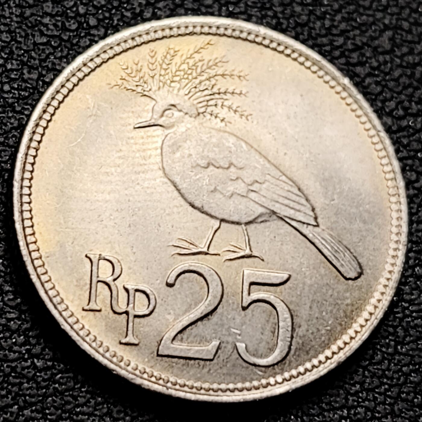 泉币菌-第219场-拍品多 请提前出价 。