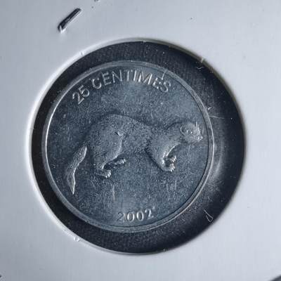 沼泽如烟--第1040场 - 刚果2002年25分