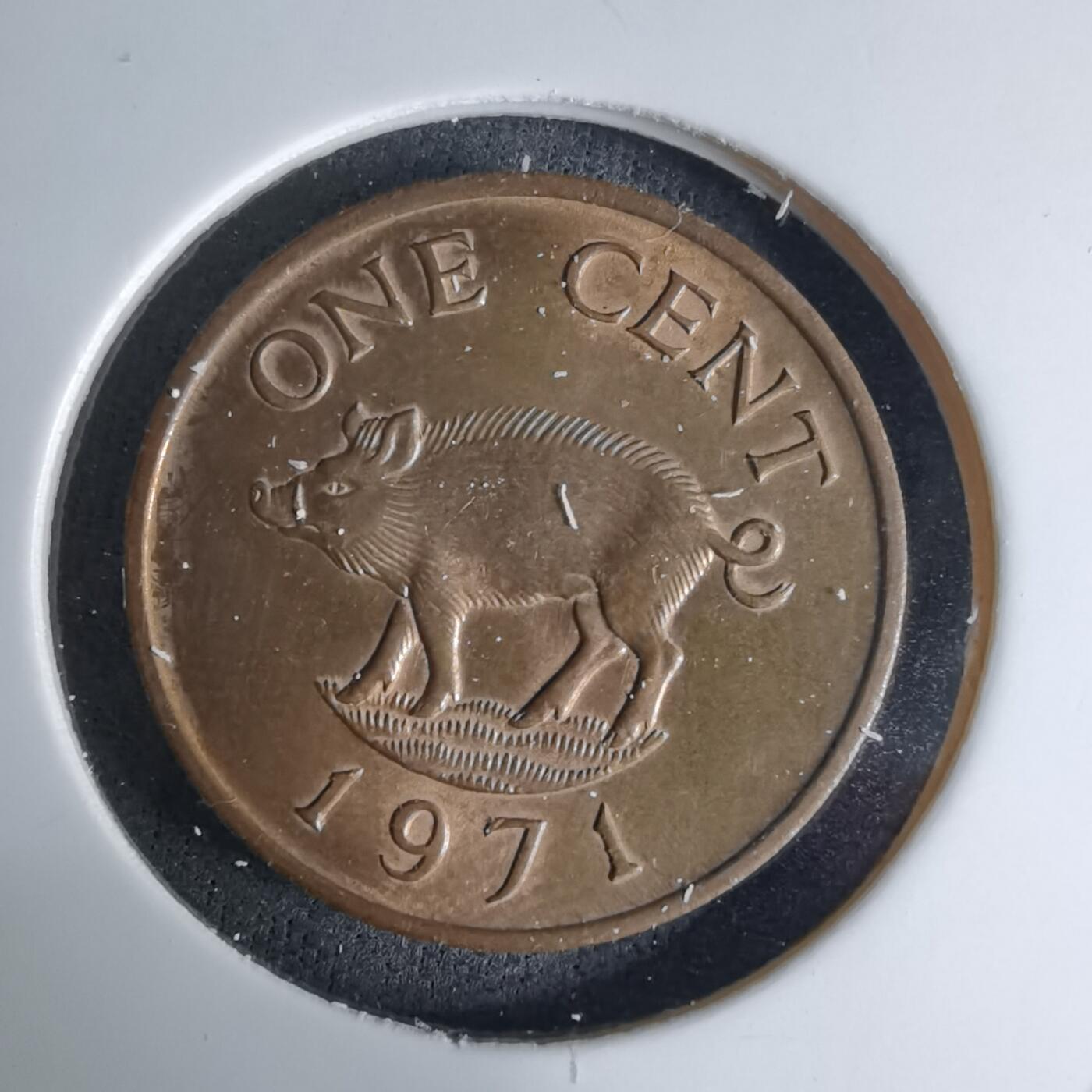 沼泽如烟--第1042场 百慕大1971年一分