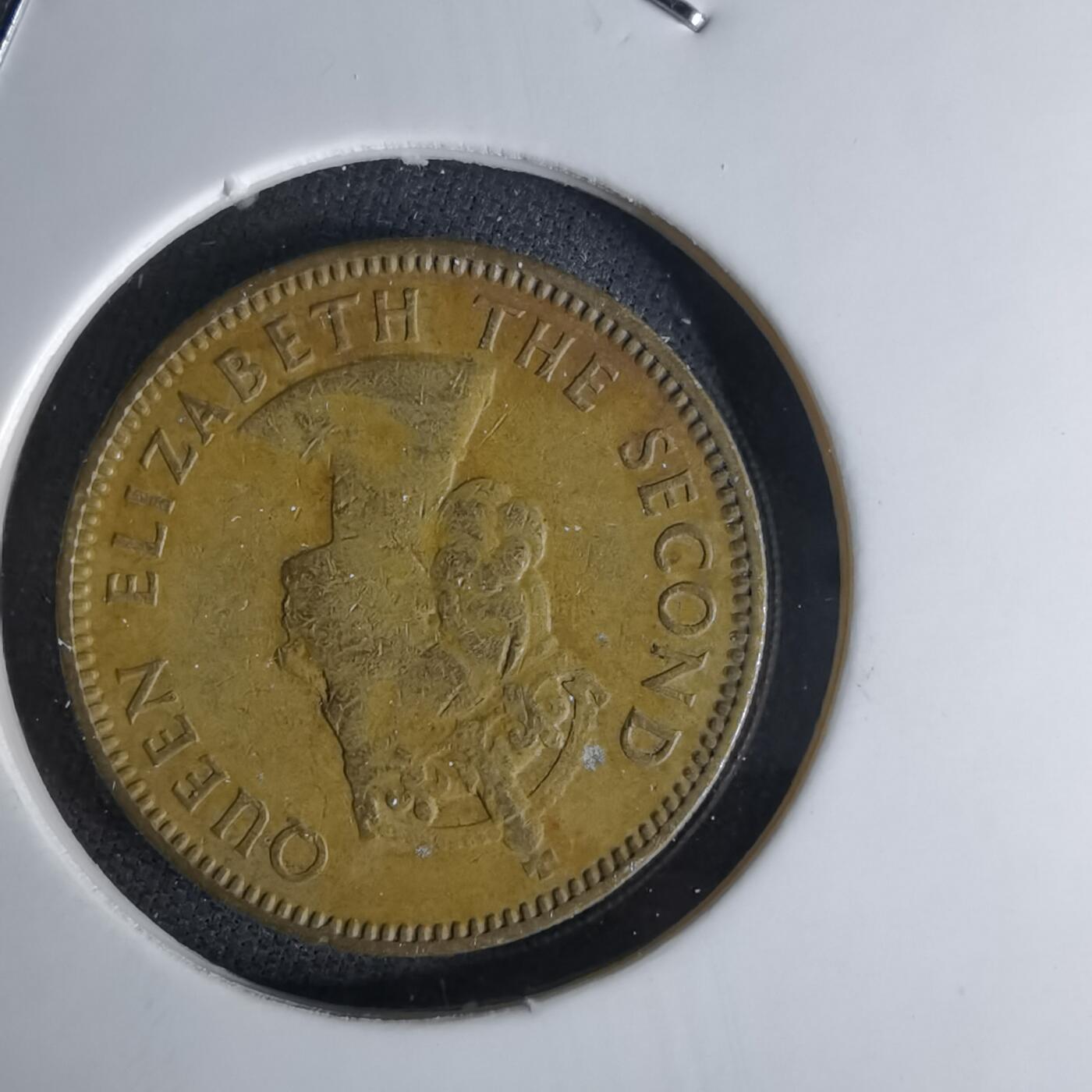 沼泽如烟--第1042场 香港1959年一毫