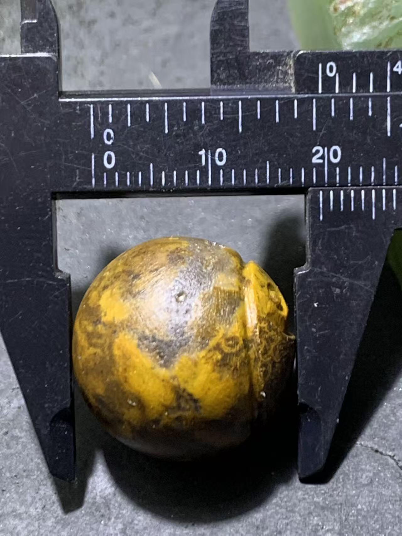 精美亚光九眼页岩天珠雕刻太极阴阳鱼圆珠一颗！