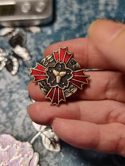 抚柳草堂-第二十一期章牌钱币  奖章勋章 满百包邮 放漏专场 - 鹿儿岛县消防协会功绩章 