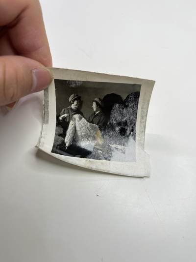 新时代收藏快速小拍 拍卖本周一线所得新货 4月2日场 - 60年代新疆女工剪羊毛照片