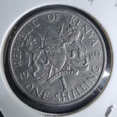 沼泽如烟--第1042场 - 肯尼亚1989年1先令