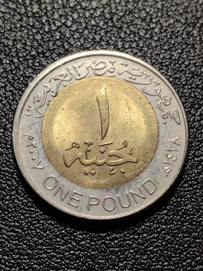 靖甫拍卖第八场 - 埃及1磅 有磁