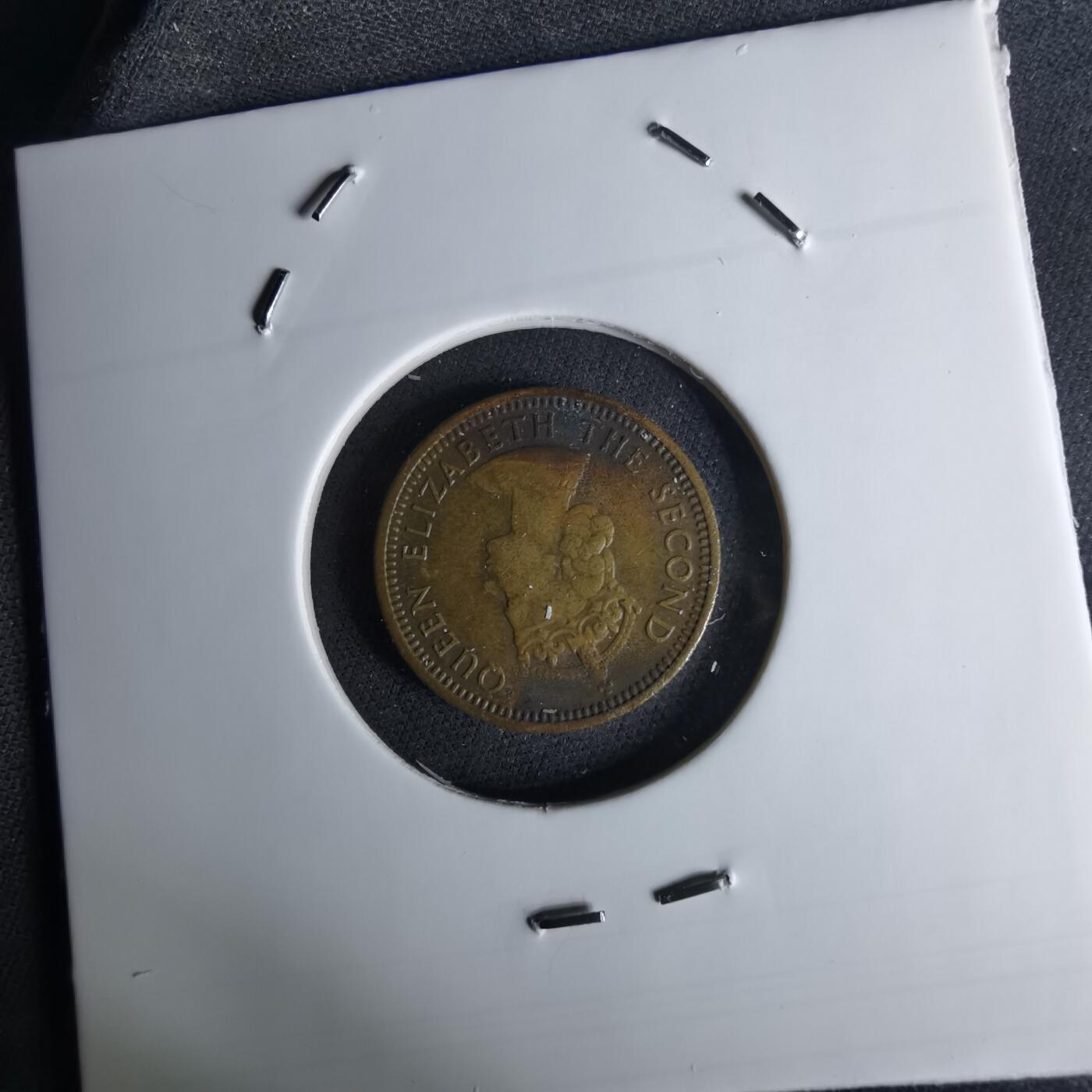 沼泽如烟--第1042场