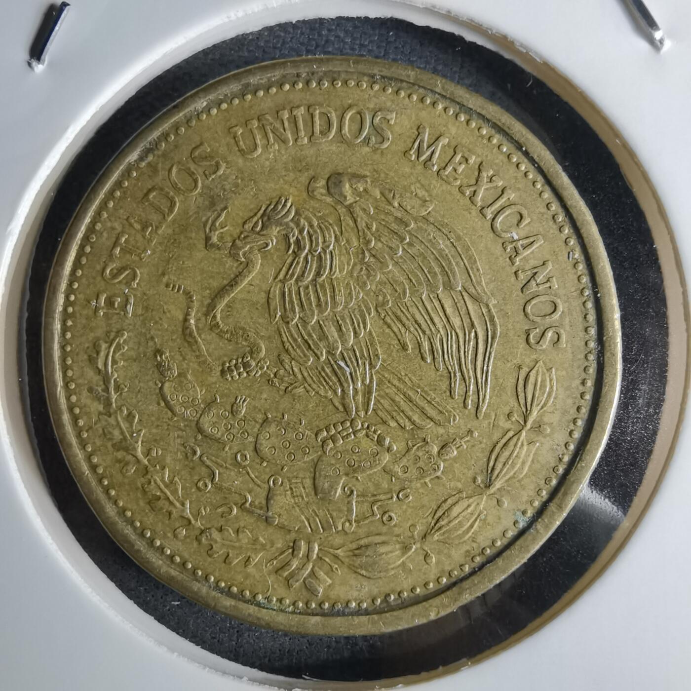 沼泽如烟--第1042场