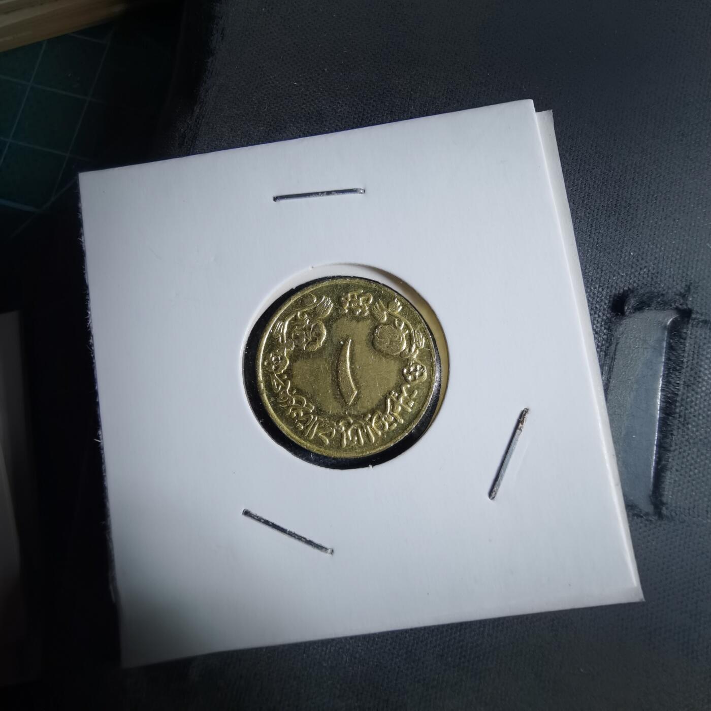 沼泽如烟--第1040场 苏丹