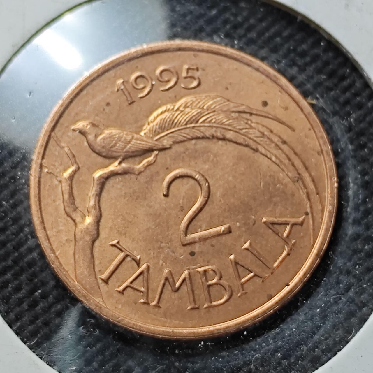 KK钱币收藏小铺  第414期 2月预留时间 周末发货 1995马拉维2坦巴拉