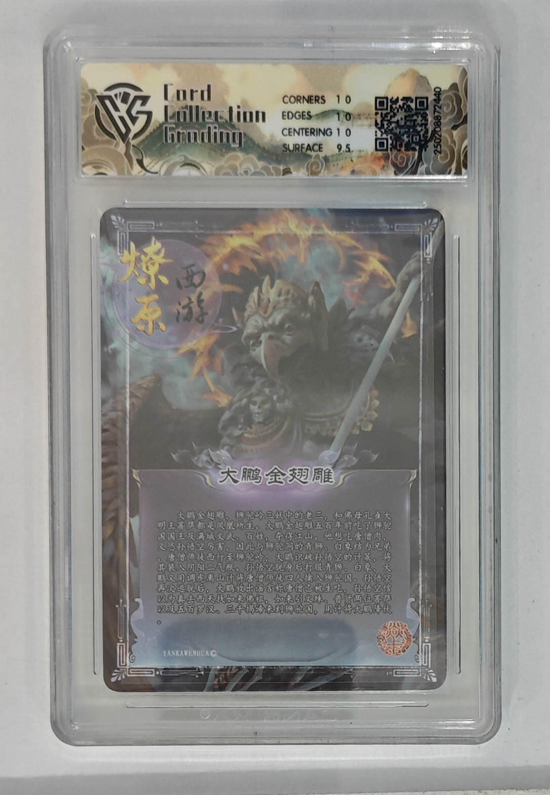 大麦马年第一场