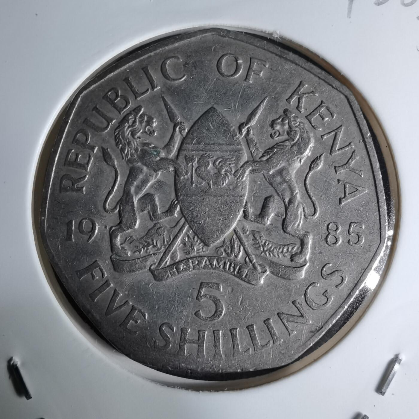 沼泽如烟--第1042场 肯尼亚1985年5先令