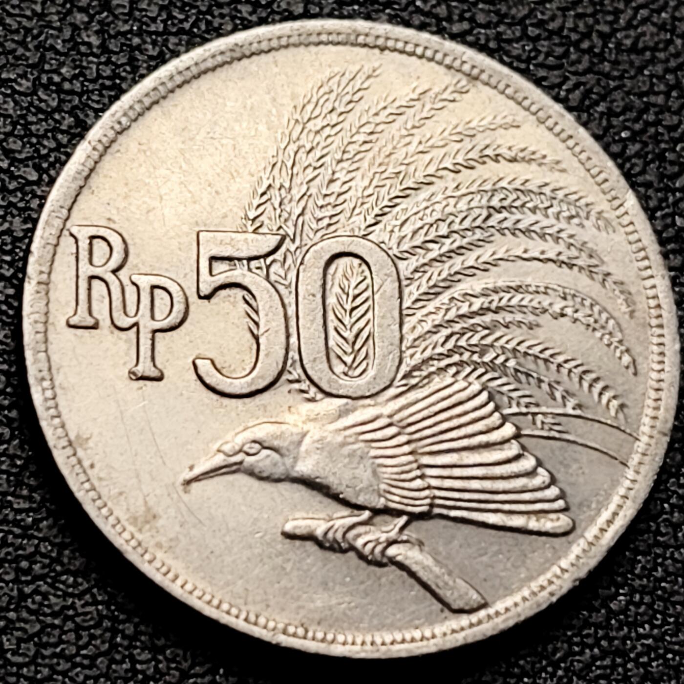 泉币菌-第219场-拍品多 请提前出价 。