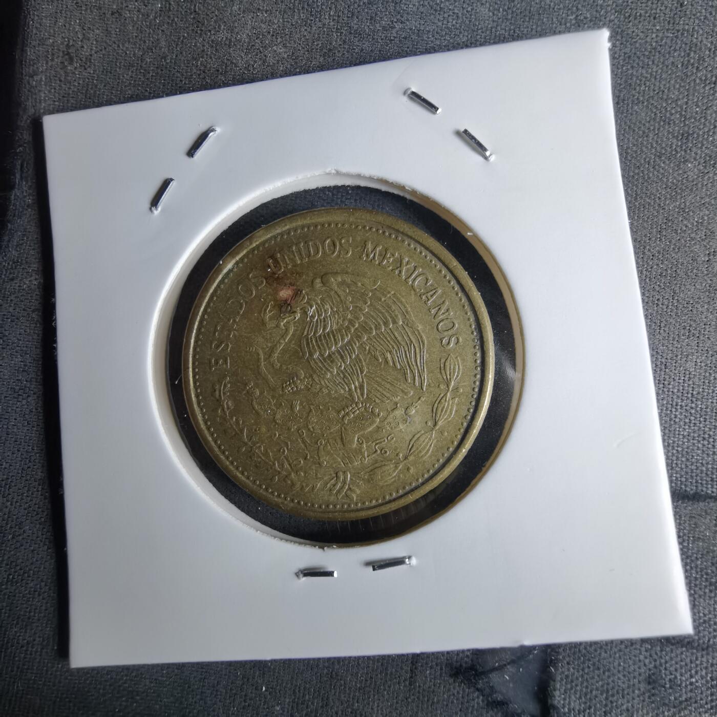 沼泽如烟--第1042场