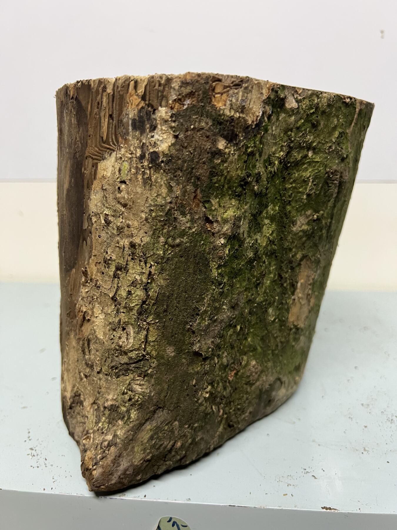 零元拍： 虫花金丝楠（无字天书） 原木 风水柱 横财（材）带皮， 这虫纹的金丝楠 大自然的鬼斧神工啊 画都画不出来，尺寸：47/10CM，抛光后金灿灿满香。