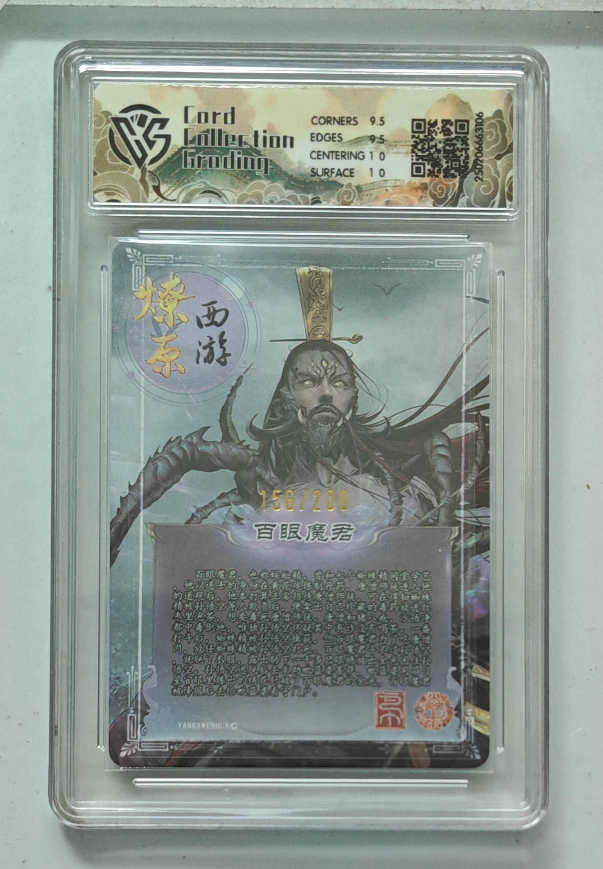 大麦马年第一场