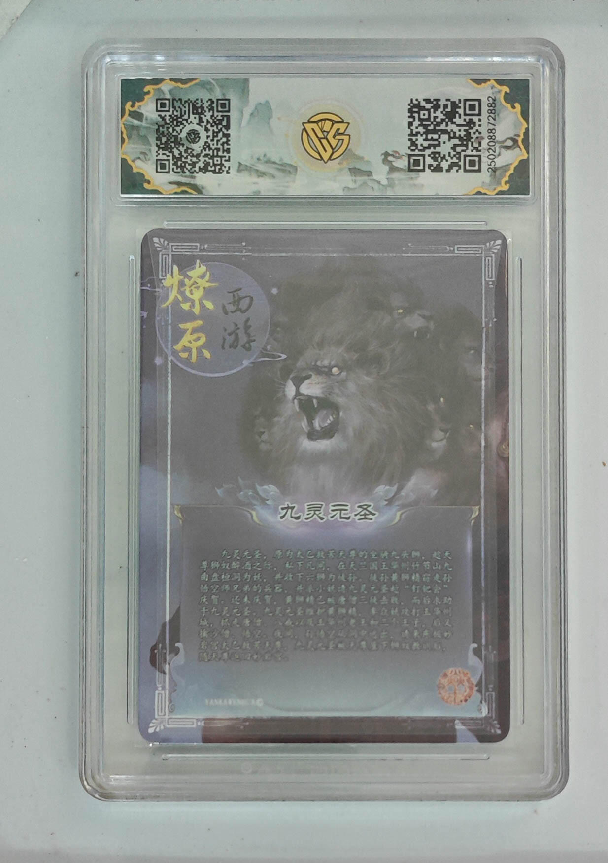 大麦马年第一场