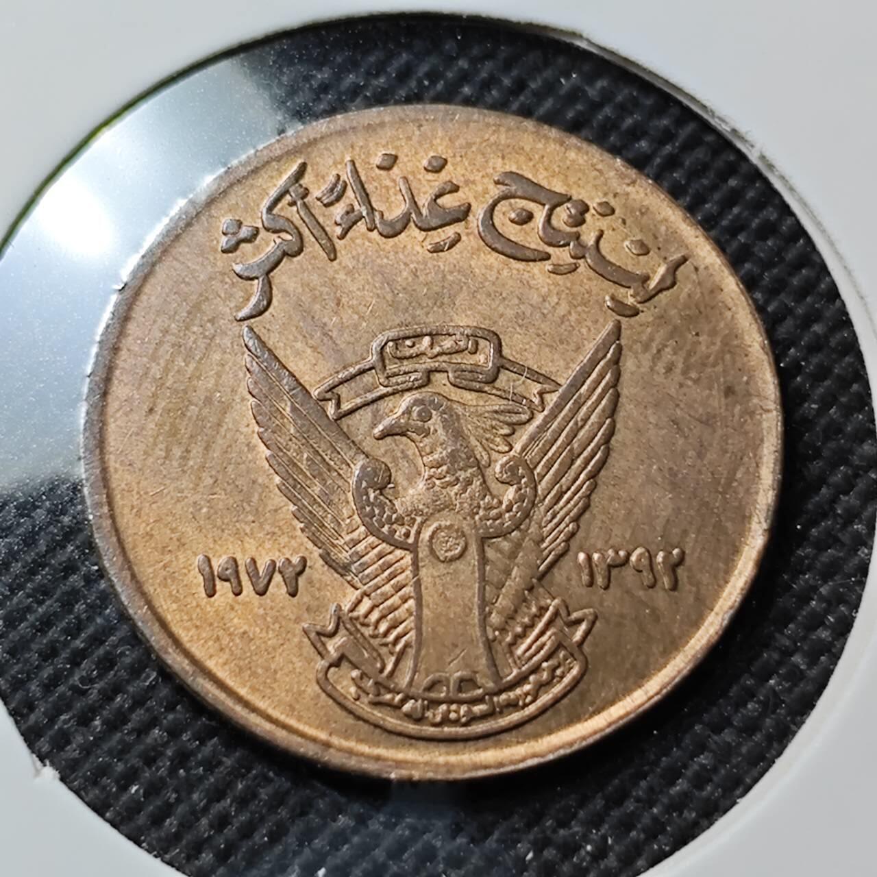 KK钱币收藏小铺  第414期 2月预留时间 周末发货  苏丹5米利姆铜币 好品