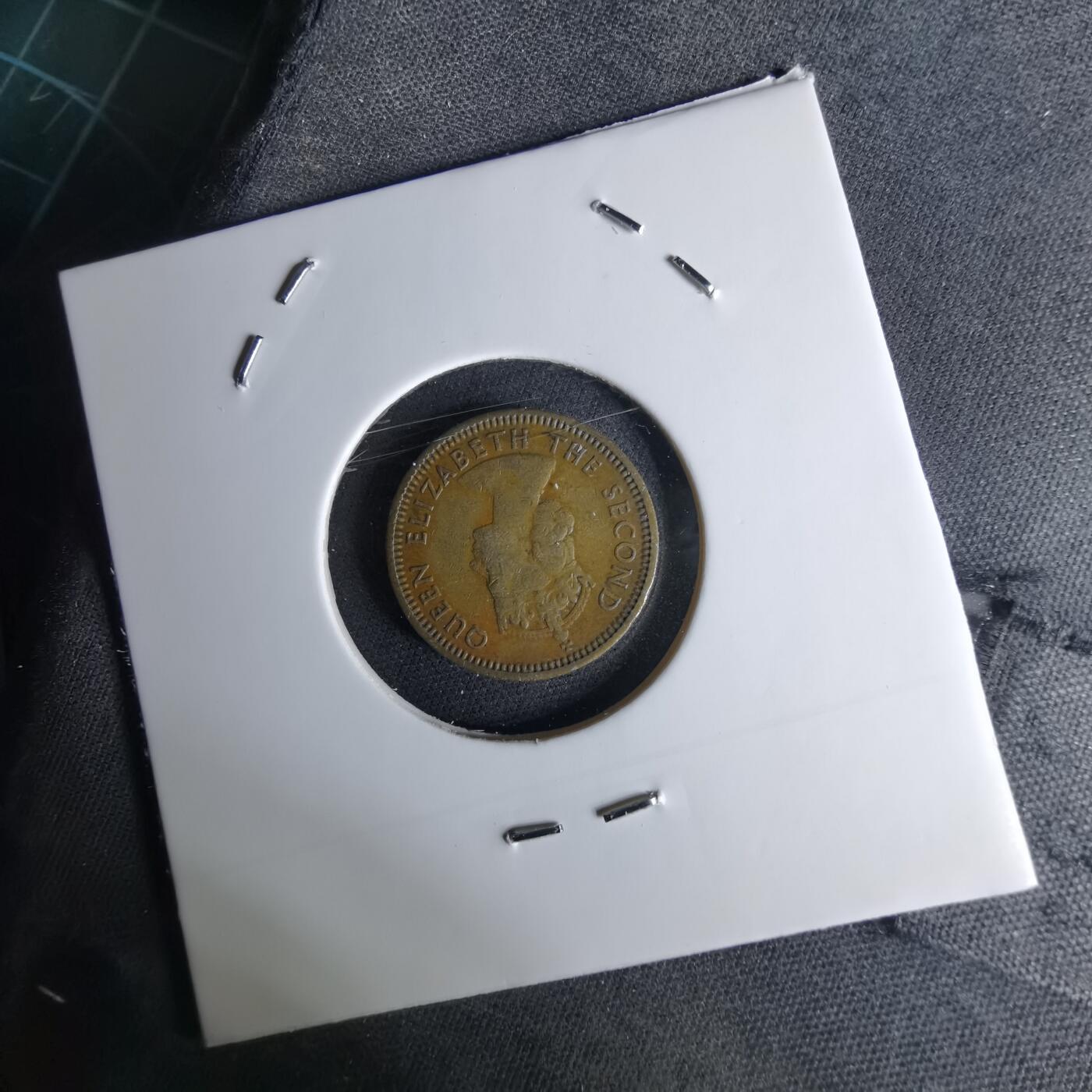 沼泽如烟--第1042场