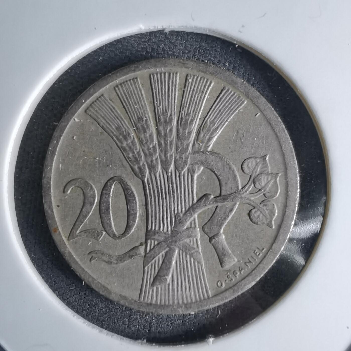 沼泽如烟--第1042场