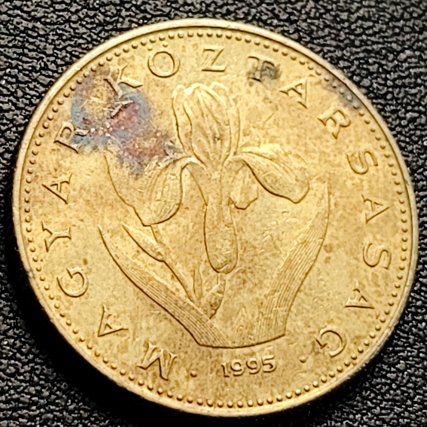 泉币菌-第218场-拍品多 请提前出价 。