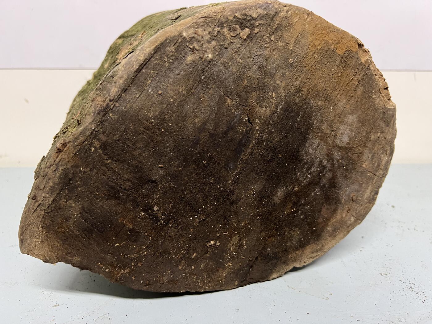 零元拍： 虫花金丝楠（无字天书） 原木 风水柱 横财（材）带皮， 这虫纹的金丝楠 大自然的鬼斧神工啊 画都画不出来，尺寸：47/10CM，抛光后金灿灿满香。