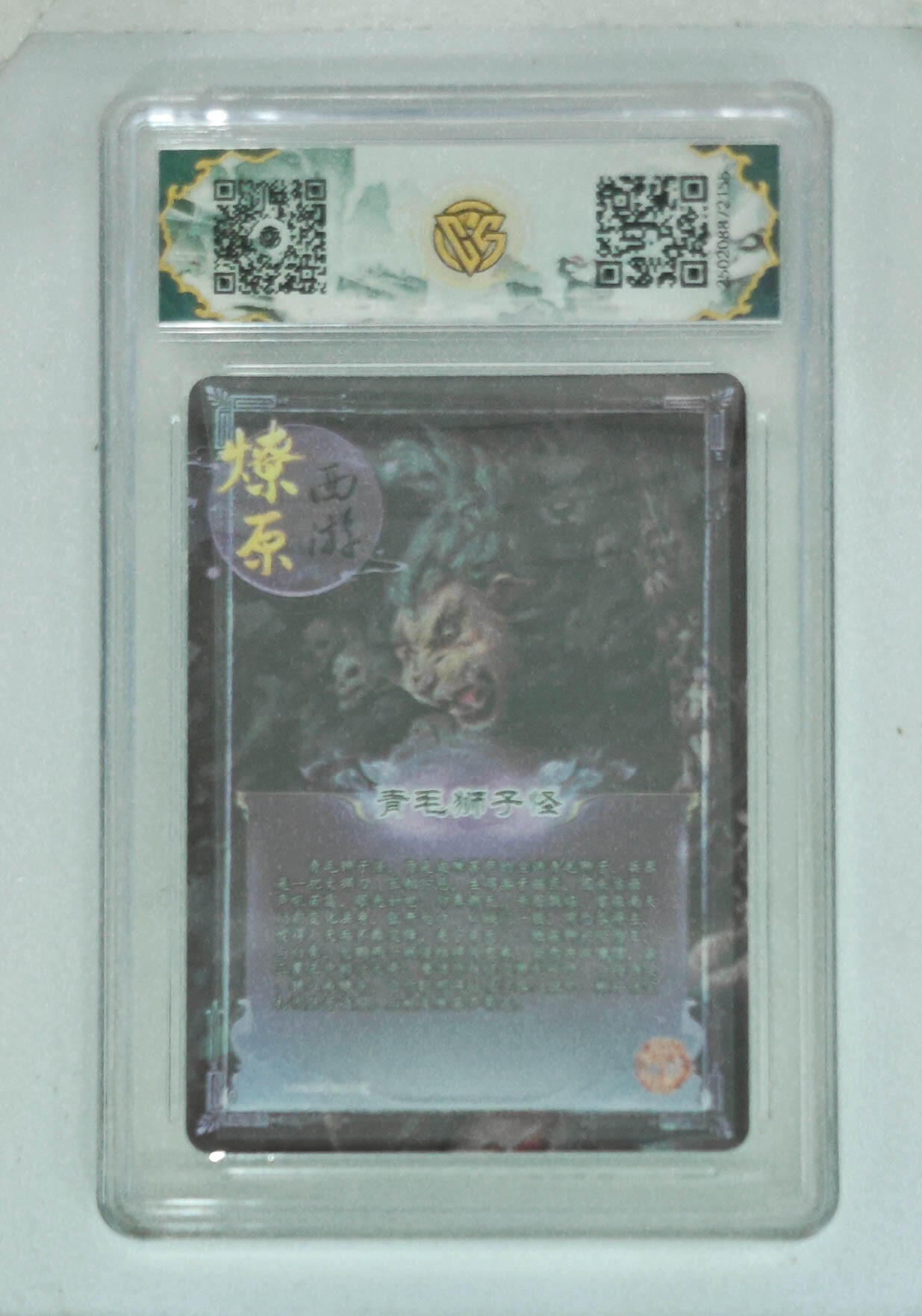 大麦马年第一场