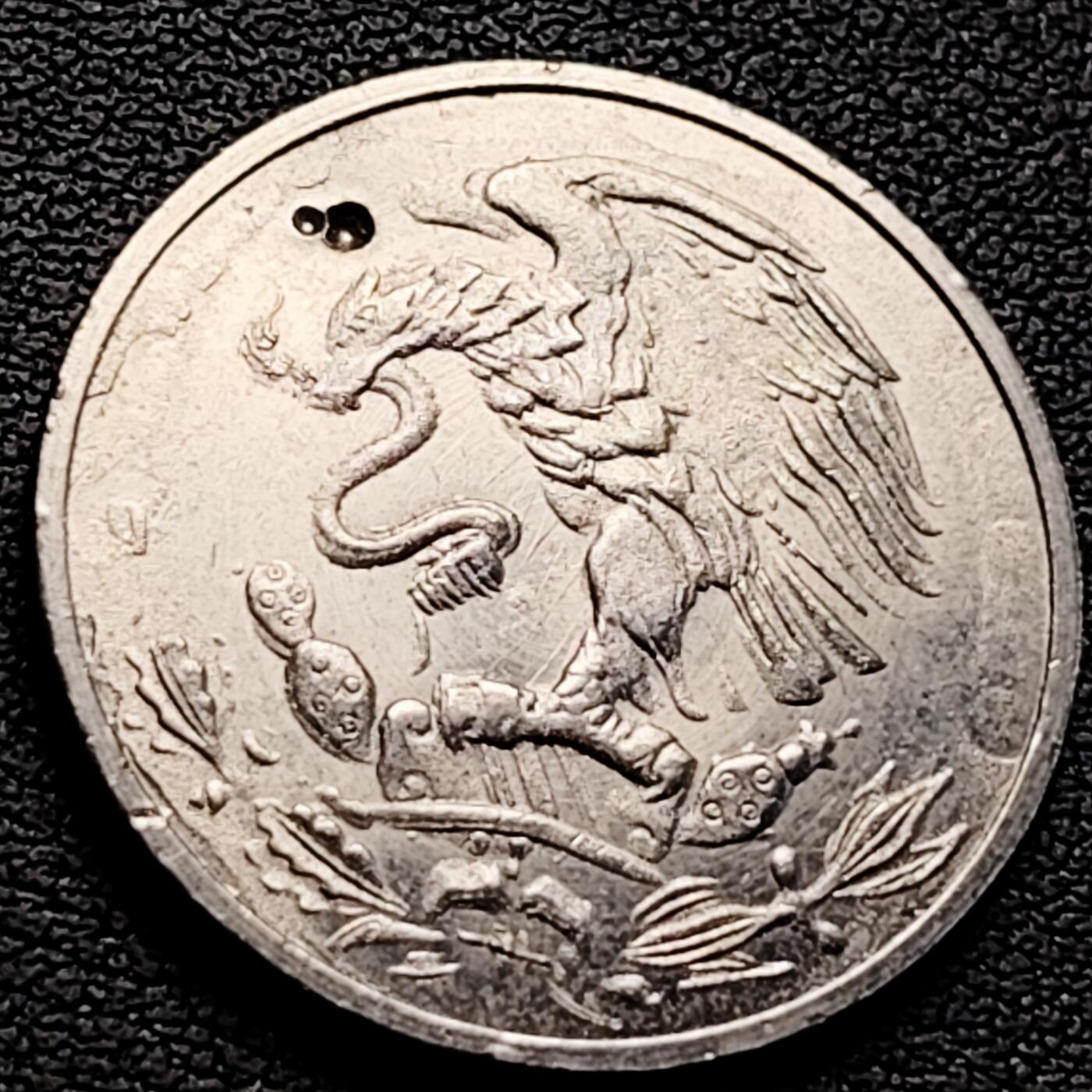 泉币菌-第218场-拍品多 请提前出价 。