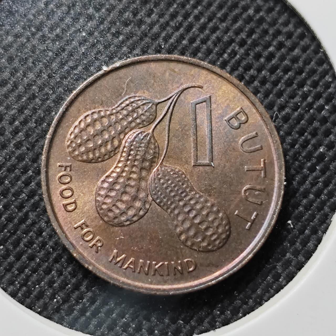 KK钱币收藏小铺  第414期 2月预留时间 周末发货 1974冈比亚1布图 铜币