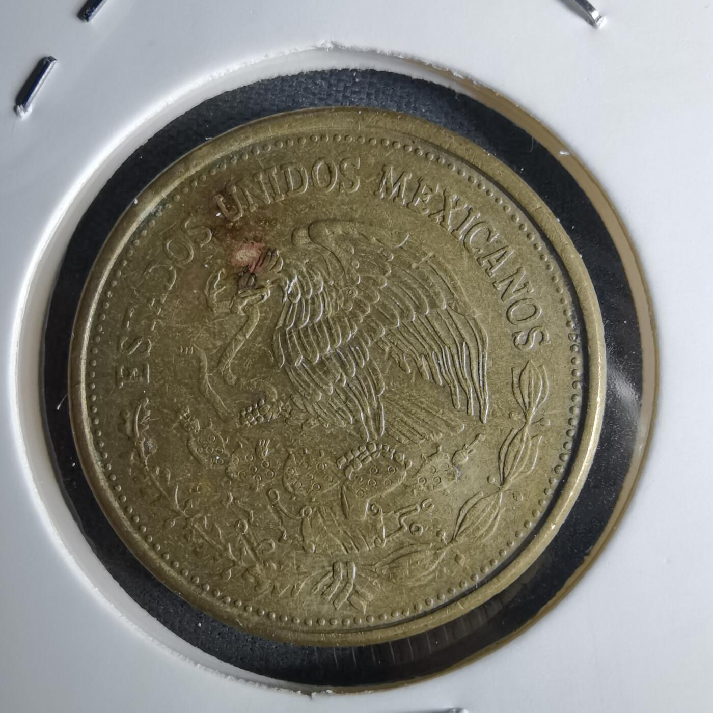 沼泽如烟--第1042场