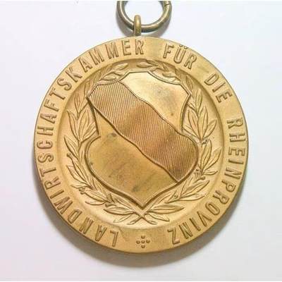 德国1900年前后 莱茵州盾徽高浮雕精制大铜章 40MM - 德国1900年前后 莱茵州盾徽高浮雕精制大铜章 40MM