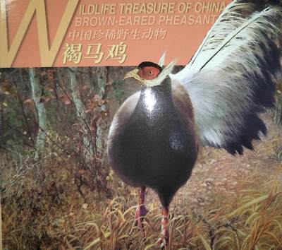 1998年珍惜野生动物褐马鸡纪念币，康银阁装帧，发行量60万枚，银行原封包拆绝品！按图发货！ - 1998年珍惜野生动物褐马鸡纪念币，康银阁装帧，发行量60万枚，银行原封包拆绝品！按图发货！