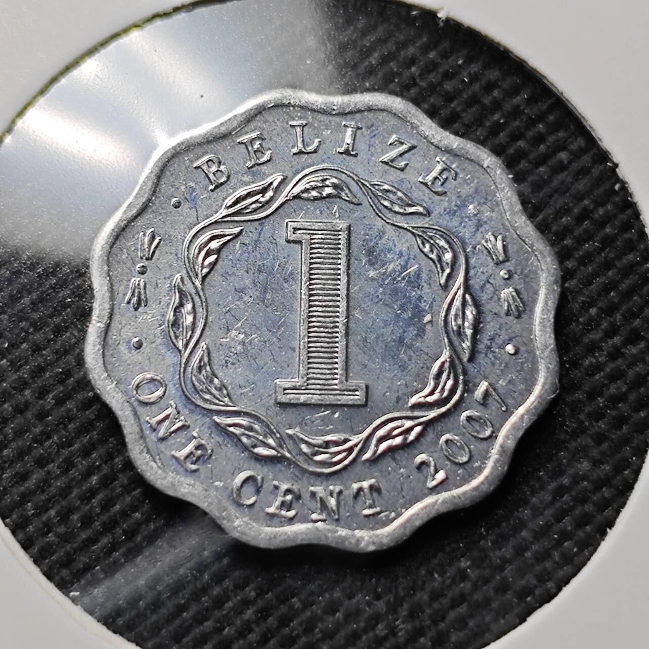 KK钱币收藏小铺  第414期 2月预留时间 周末发货 2007伯利兹1分 