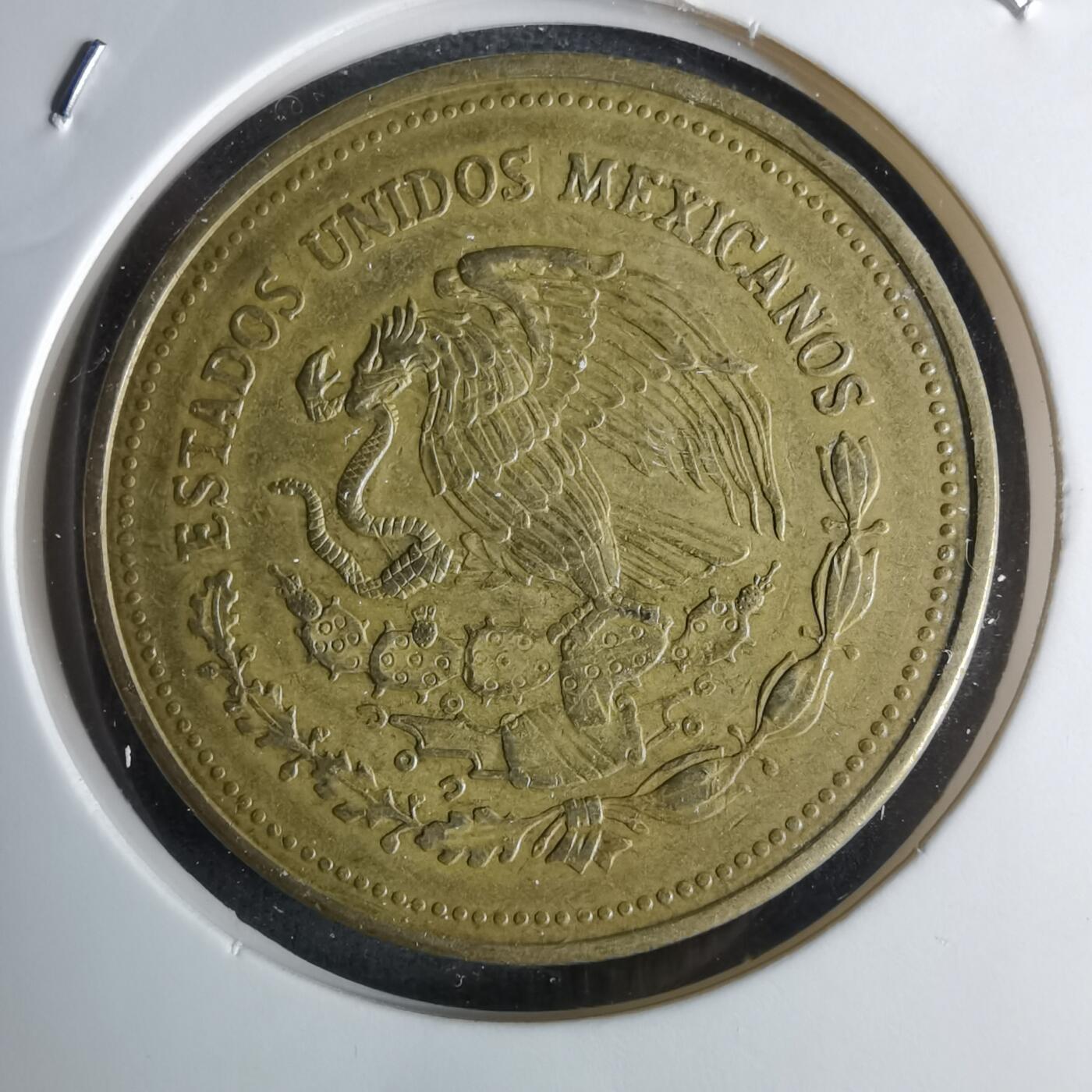 沼泽如烟--第1042场