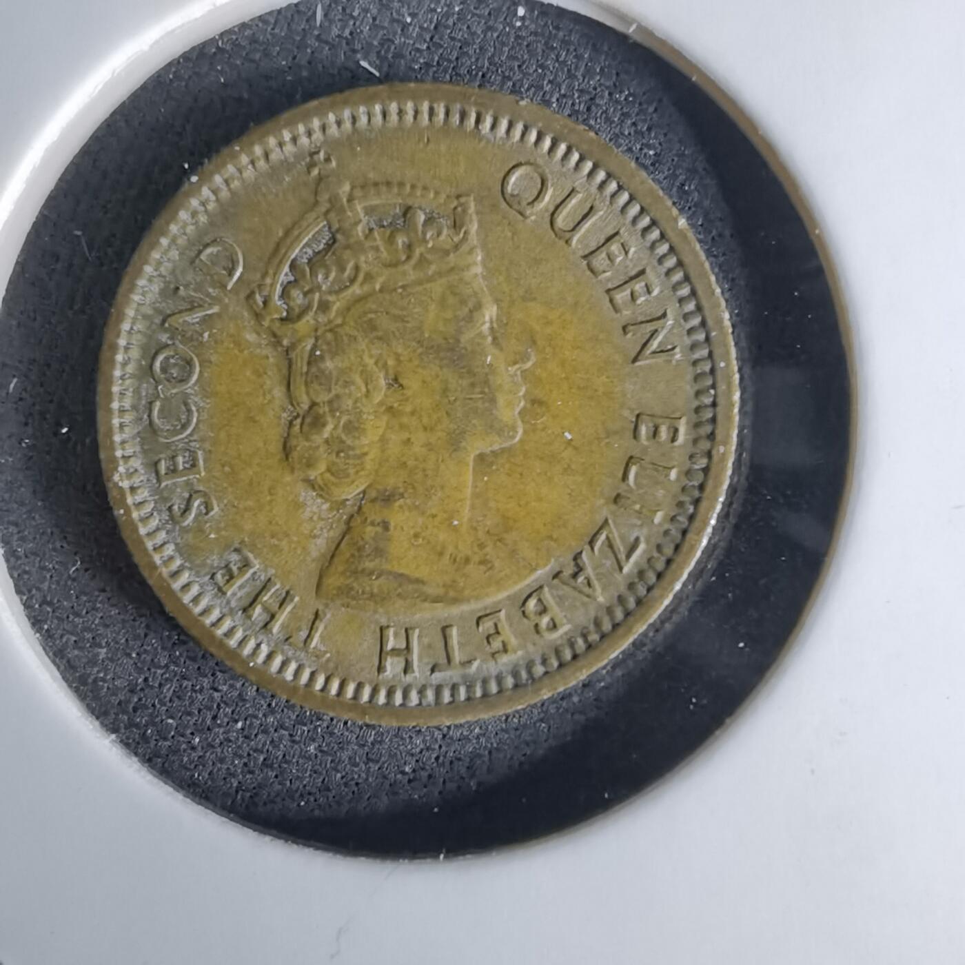 沼泽如烟--第1042场