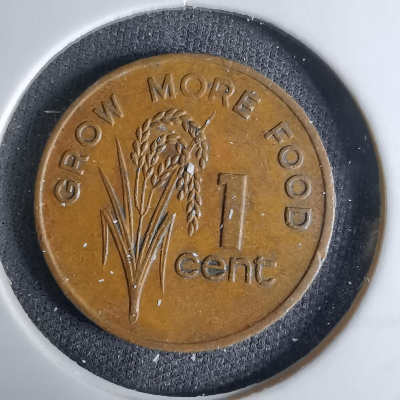 沼泽如烟--第1042场 斐济1977年一分FAO纪念币