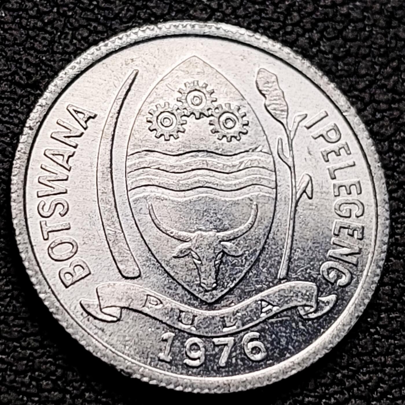 泉币菌-第219场-拍品多 请提前出价 。