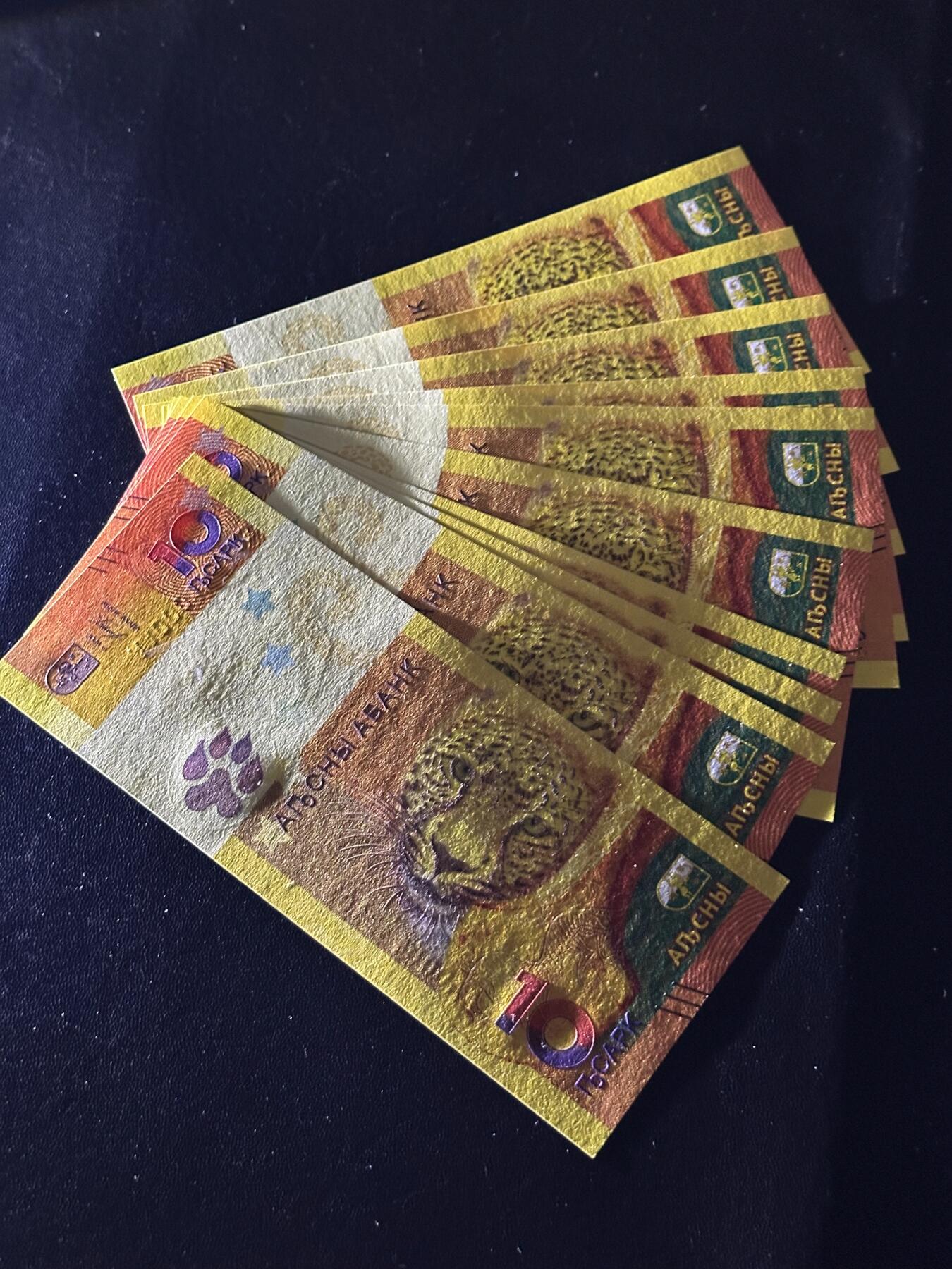 《外钞收藏家》第六百二十三期（精选场）（长期征集拍品、欢迎藏友们联系合作） 2024年阿布哈兹10阿莎 纪念钞 10张一起 全新UNC