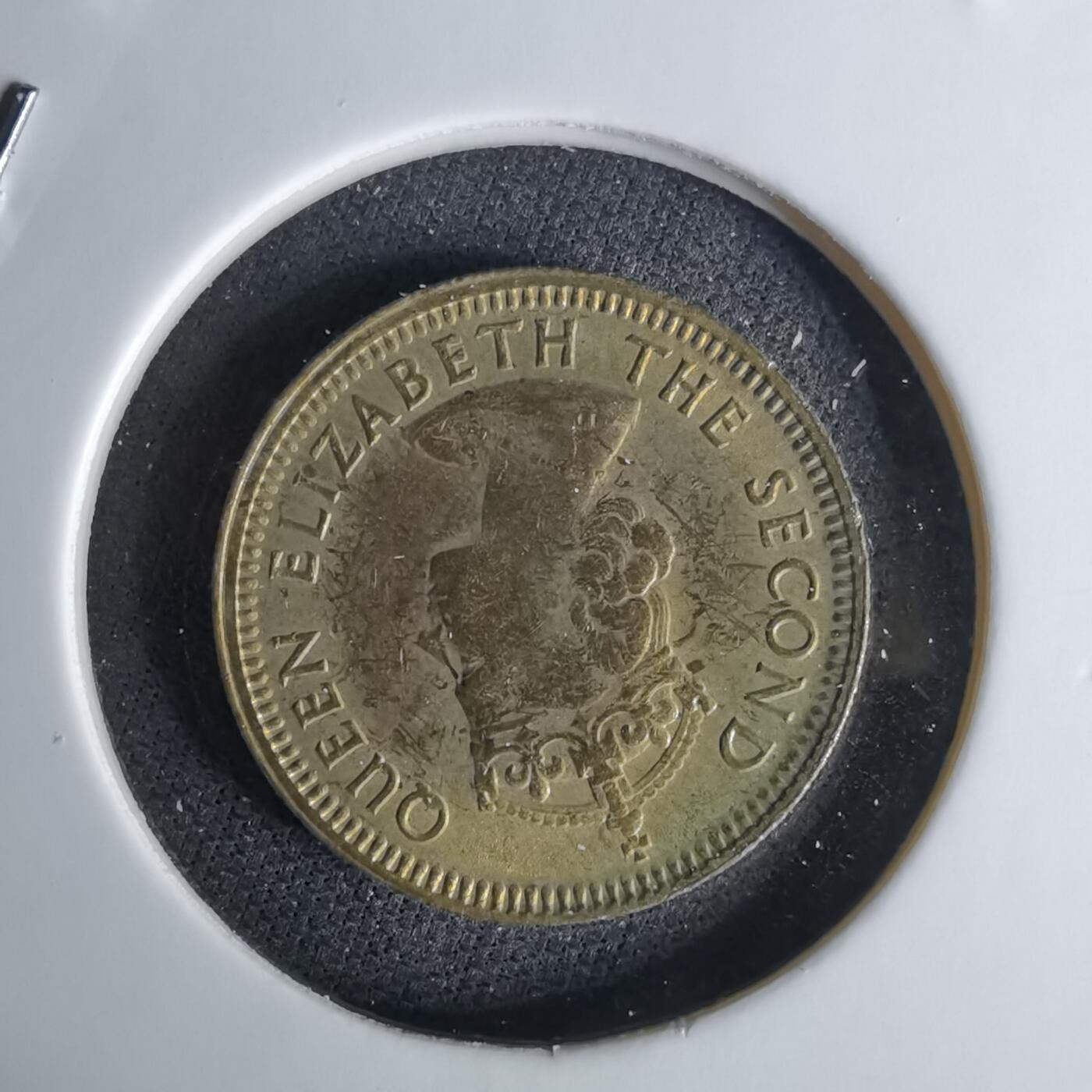 沼泽如烟--第1042场