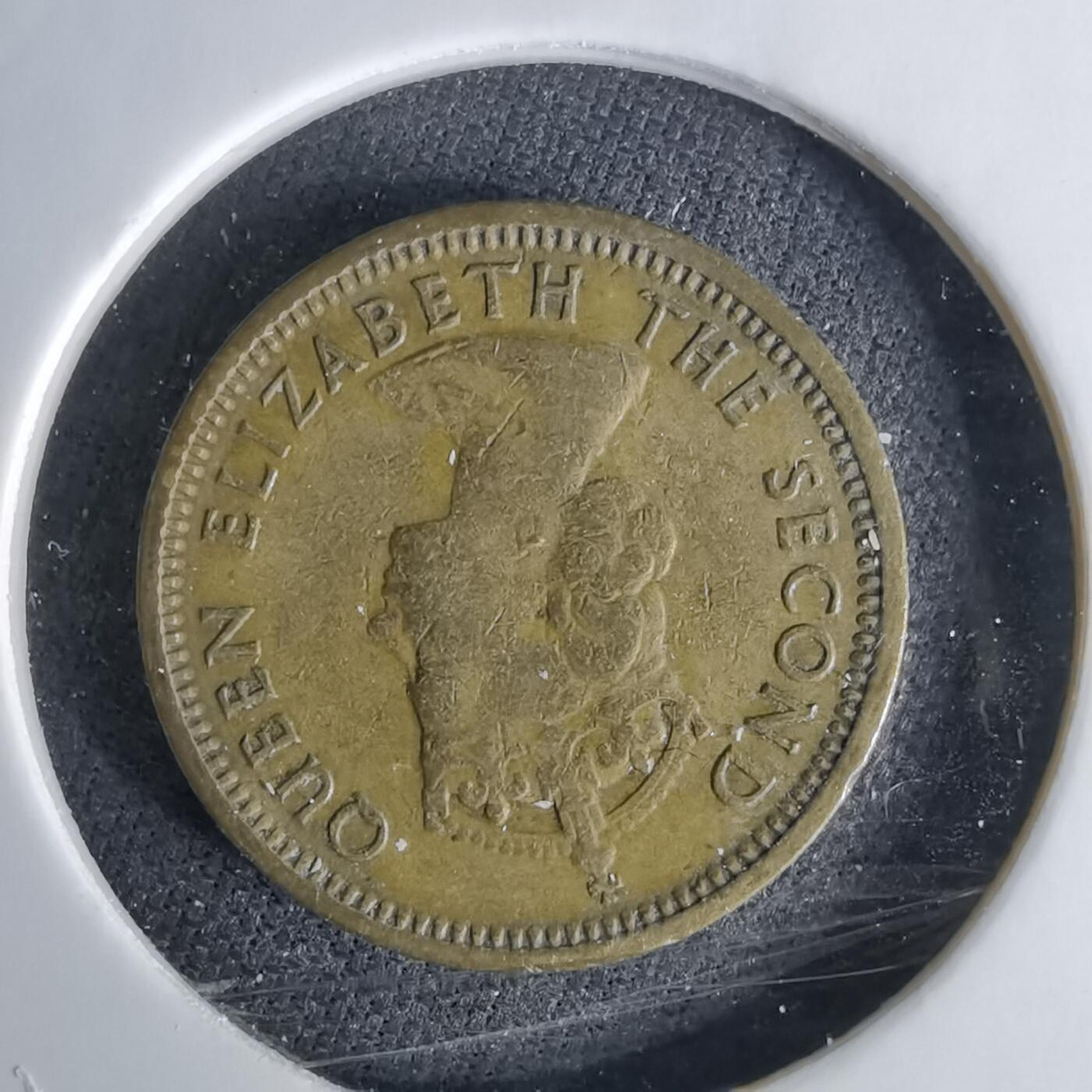 沼泽如烟--第1042场