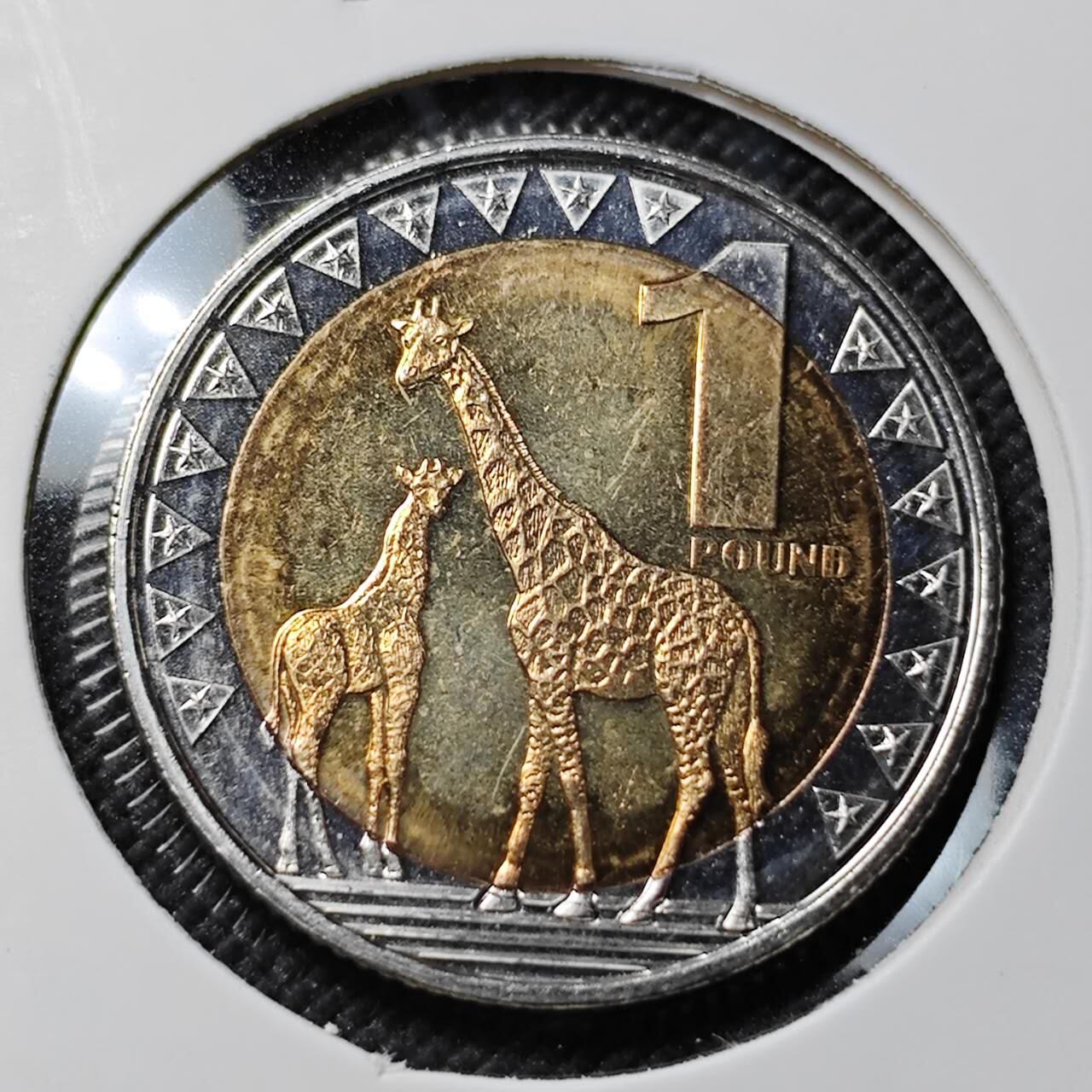 KK钱币收藏小铺  第414期 2月预留时间 周末发货  2015南苏丹1镑