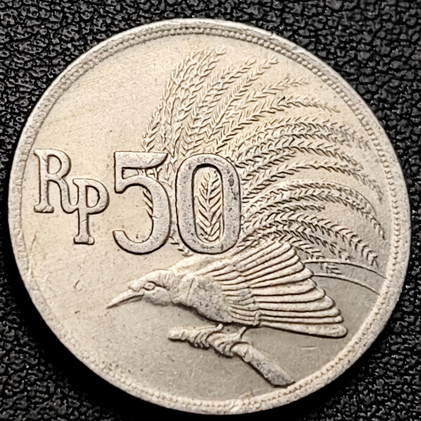 泉币菌-第219场-拍品多 请提前出价 。