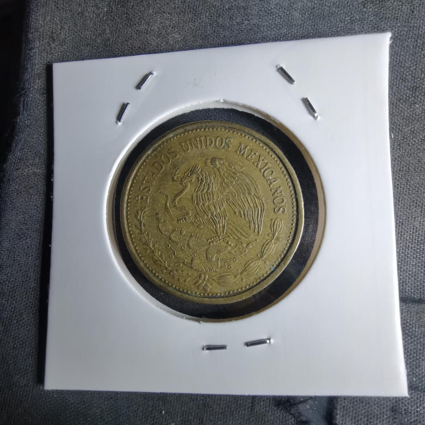 沼泽如烟--第1042场