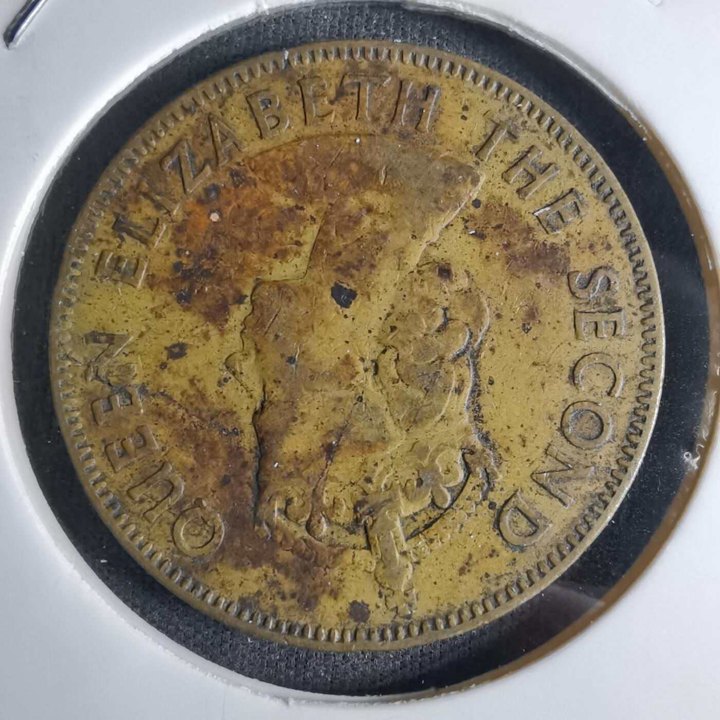 沼泽如烟--第1042场