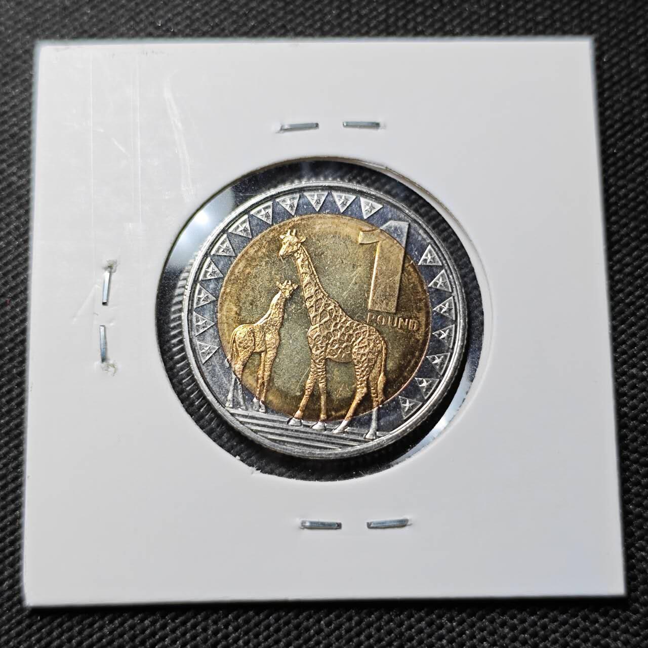 KK钱币收藏小铺  第414期 2月预留时间 周末发货  2015南苏丹1镑