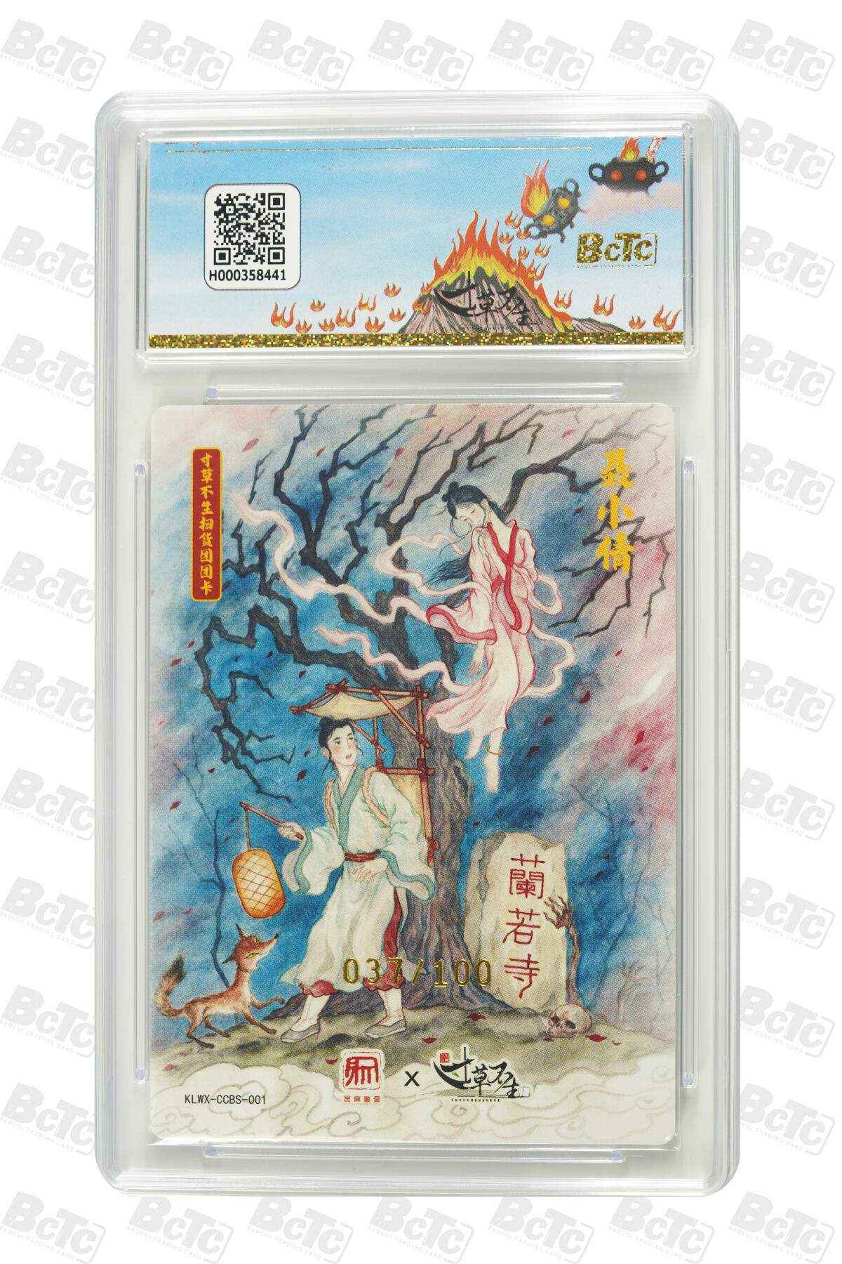 大麦马年第一场