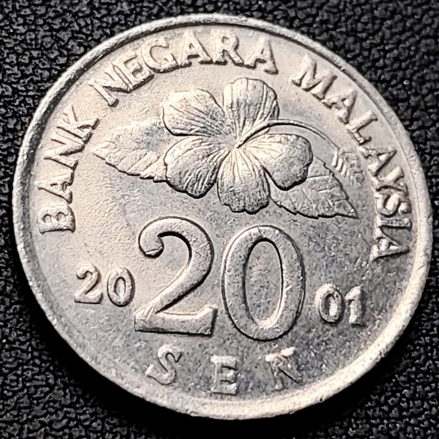 泉币菌-第219场-拍品多 请提前出价 。