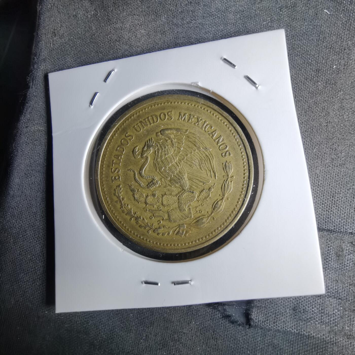 沼泽如烟--第1042场