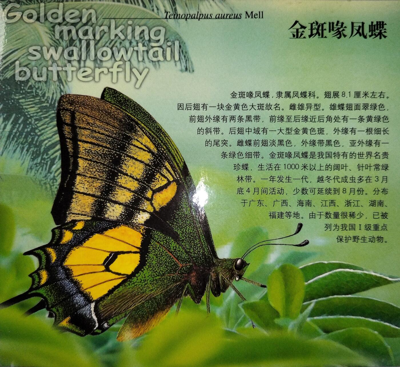 1999年金斑喙凤蝶纪念币卡册，中国人民银行发行，康银阁装帧，带证书，限量90万套，每套1枚。紫铜合金材质，面值5元，直径32mm，厚度2.2mm。蝴蝶图案清晰，品相几乎全新，币面干净，按图发货！