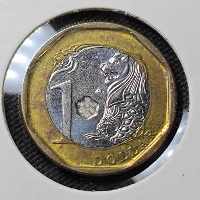 KK钱币收藏小铺  第415期 2月预留时间 周末发货 2013新加坡1元 