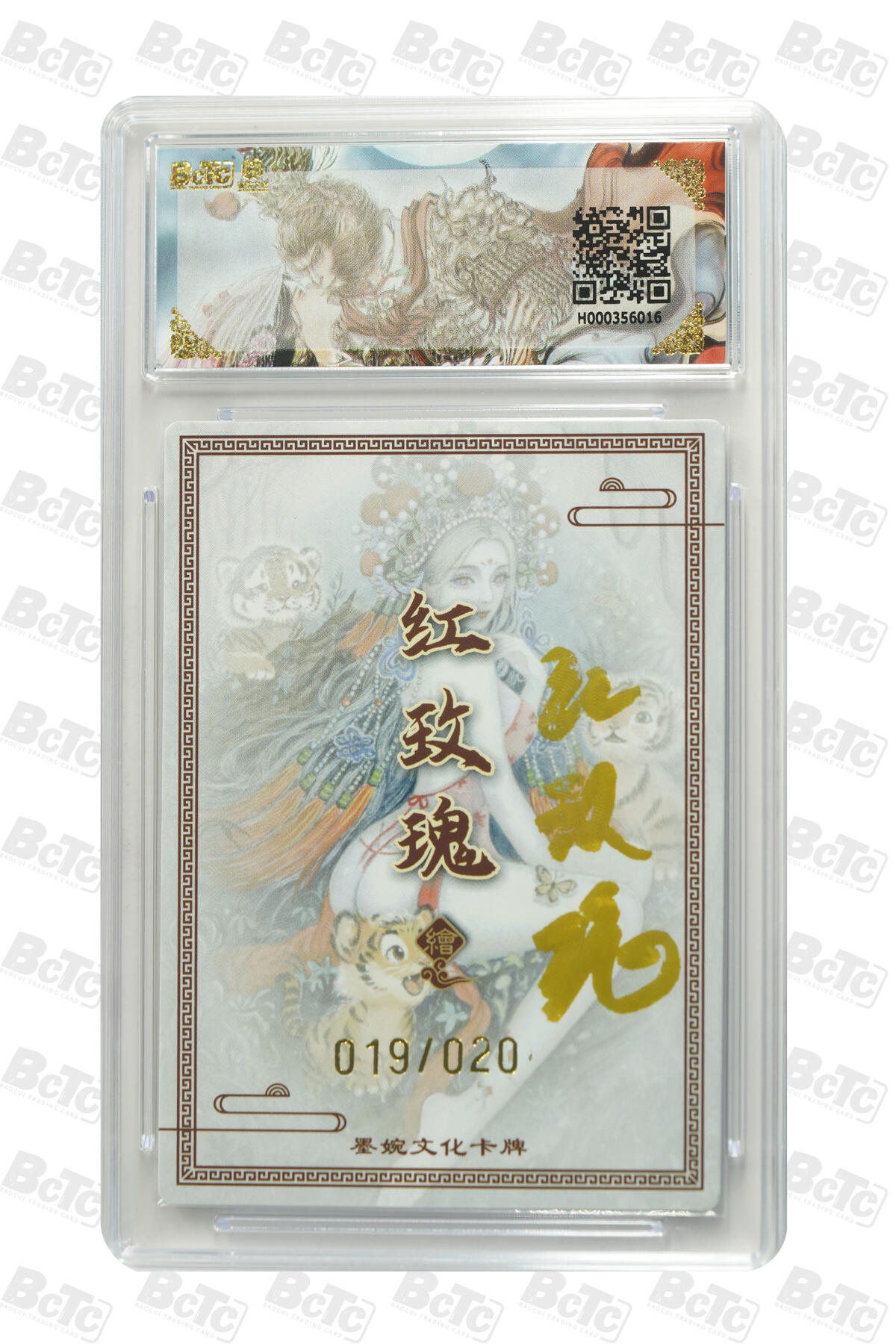 大麦马年第一场